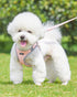 Petank Dog Harness for Small Medium Dogs No Pull, Puppy Harness and Leash Set, Easy Walk Dog Harness for Walking, Running, Training, Small Dog Harness, Medium Dog Harness (Pink, XXS)