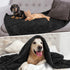 PetAmi Fluffy Waterproof Dog Blanket for Small Medium Dogs, Soft Warm Sherpa Throw, Reversible Cat Puppy Bed Blanket