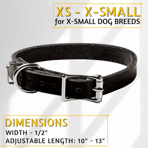 Adityna Leather Dog Collar for Extra-Small Dogs and Puppies, Classic Style, Heavy Duty Black Leather (XS, Neck: 10-13