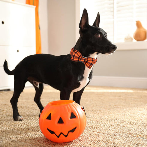 ARING PET Cute Fall Dog Collar with Bow, Adjustable Halloween Orange Grid Bowtie Collar for Small Medium Large Dogs