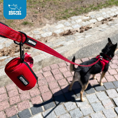 15 Best Pet Supplies Dog Poop Bag Holder Leash Attachment with Bags, Baby Blue, Reusable Mesh Dispenser Pouch