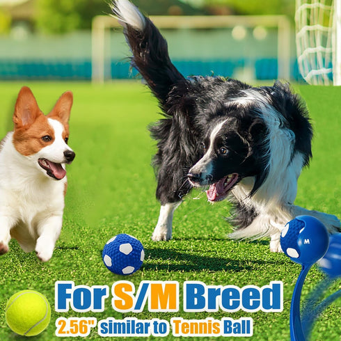 Soft Squeaky Dog Ball 2.56” - Latex Squeaky Toys for Medium and Small Dogs, 3pcs for Fetch and Chase