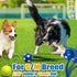 Soft Squeaky Dog Ball 2.56” - Latex Squeaky Toys for Medium and Small Dogs, 3pcs for Fetch and Chase