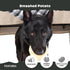 Barkbox Potato 2-in-1 Dog Toy, Tough Plush Squeaky Chew Toy for Large Dogs