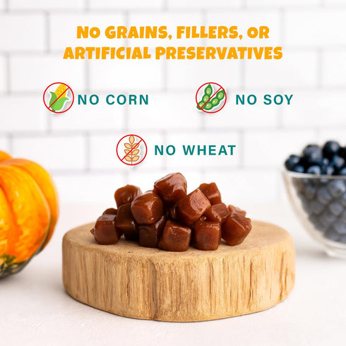 Plant-Based Pumpkin Dog Treats - Healthy Vegetarian, Vegan Treats with Organic Ingredients