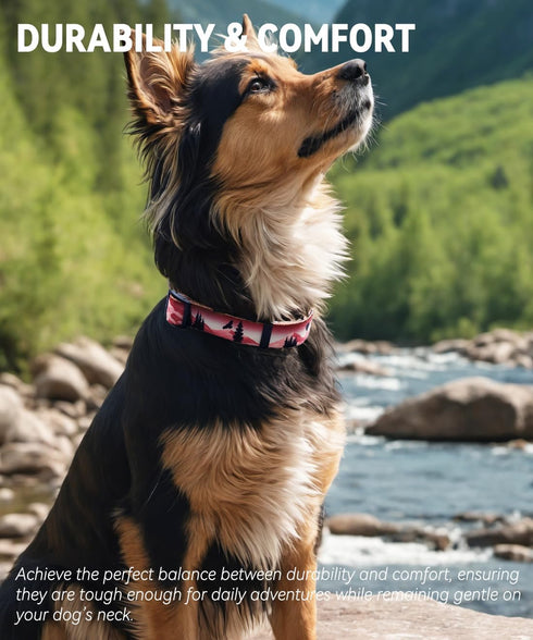 Dog Collar for Medium Dogs, High-end Crafted Adjustable Length with Quick Release Buckle, Unique Design, 12-16 inches