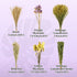 42Pcs Sukh Herb Bedding Habitat Decor - Natural Flower Hamster Mate Herbs Sprays Cage Safe Pet Accessories Decorations