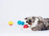 Pet Qwerks Animal Sounds Babble Ball, Chew Dog Toy, Small