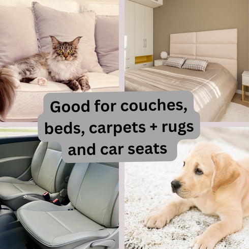 PET HAIR REMOVER - Reusable Dog and Cat Hair Remover for Couch, Carpet, Car Seats, Bedding, Upgraded Lint Roller Tool