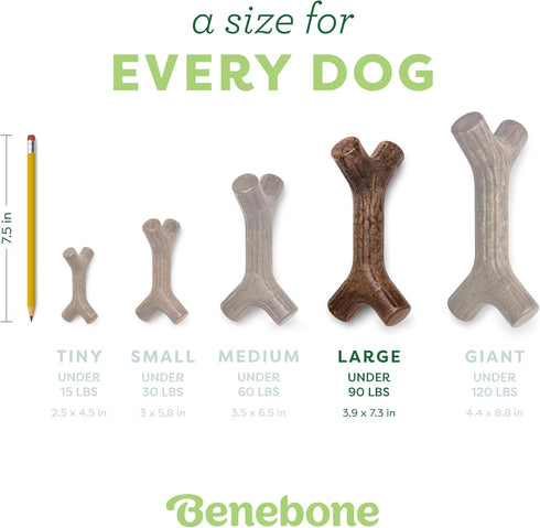 Benebone Maplestick Real Wood Durable Dog Chew Toy, Large, Made in USA
