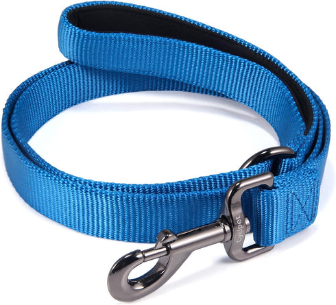 Advanced 4 Feet Dog Leash with Soft Padded Handle, Sturdy Nylon for Small Medium Dogs Walking, Training (Classic Blue,