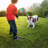 FineInno Large Light Up Dog Balls, 2 pcs Flashing Bouncy Glow in The Dark Interactive Jumping Ball for Large Dogs
