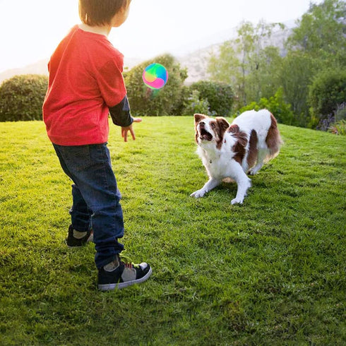 FineInno 4 pcs Large Light Up Dog Balls - Flashing Elastic Glow in The Dark Interactive Pet Toys