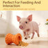 Treat Dispensing Ball for Pigs, Pig Enrichment Toys Food Dispenser for Mini Pigs, Slow Feeder Training Toy Pet