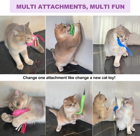11PCS Cat Wand Toy, Interactive Toys for Indoor Cats, 2 Retractable Wands, 7 Worm Teaser Toys, 1 Plush Fish Toy, Extra