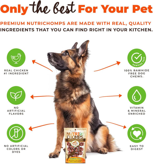 NutriChomps Dog Chews - 2.5-inch Knots, Rawhide-Free Dog Treats, 8 Count, Real Chicken Flavor