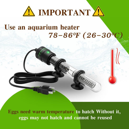 4 Freshwater Fairy Shirmp Eggs - for Hatching,High Protein Live Fish Food for Newborn Fry, Betta Fish, and Other