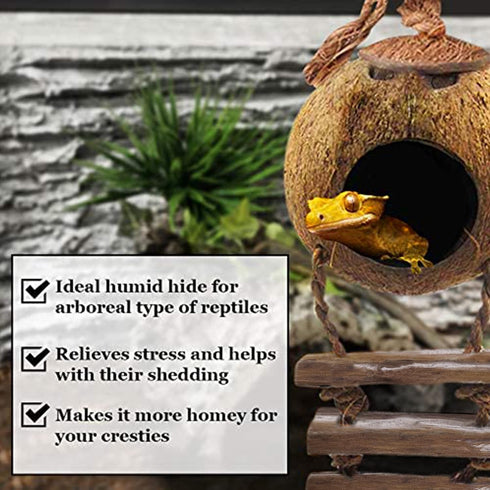 SunGrow Leopard Gecko Coconut Husk Hut - Cave Habitat with Ladder and Shell Opening, 1 Pc per Pack