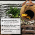 SunGrow Leopard Gecko Coconut Husk Hut - Cave Habitat with Ladder and Shell Opening, 1 Pc per Pack