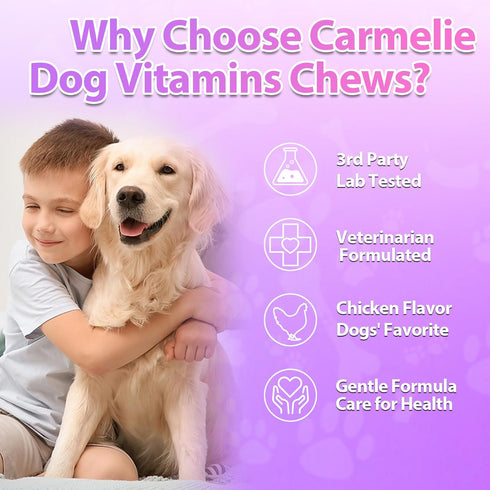 24 1 200 Omega-3 Immune Carmelie Dog Vitamins, in Dog Vitamins and Supplements, Chews with Glucosamine Probiotics Puppy