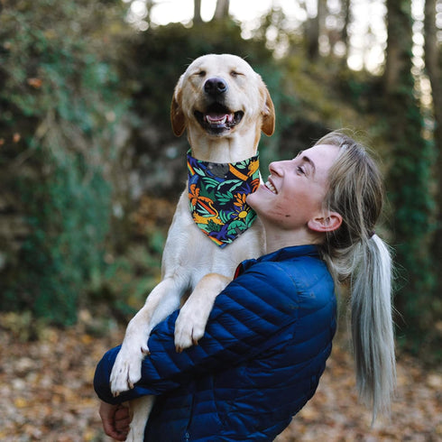 9 Pack Dog Bandanas, Washable Polyester Dog Bandana Bulk for Boy Girl, Stripe Pattern Pet Scarves
