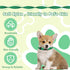 14 Pack Adjustable Puppy Collars - Breakaway Safety Whelping Collars for Small Puppies, Soft Nylon Identification