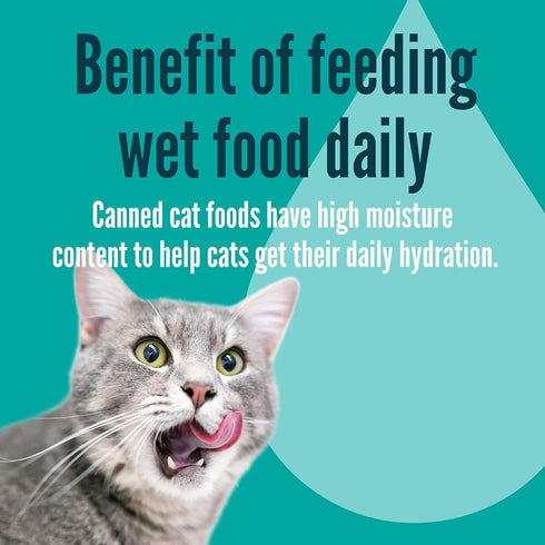 3 oz (Pack 24), A Strong Heart Canned Wet Cat Food, Beef Dinner Pat - Cans of Made in The USA with Real Beef