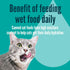 3 oz (Pack 24), A Strong Heart Canned Wet Cat Food, Beef Dinner Pat - Cans of Made in The USA with Real Beef