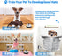 2 Pack Dog Doorbells, Pet Training Bells for Potty Training and Communication Device, Adjustable Strap Door Bell