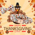 Elegant Little Tail Fall Dog Collar with Bow, Thanksgiving Turkey Bowtie Collar for X-Large Dogs