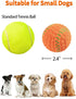 SCHITEC Squeaky Dog Balls, 4 Pack Interactive Latex Rubber Fetch Play Balls for Small Dogs and Puppies