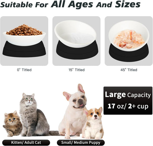 2Pcs Elevated Cat Food Bowl - Adjustable Anti-Slip Raised Dish for Indoor Cats - 17 Oz