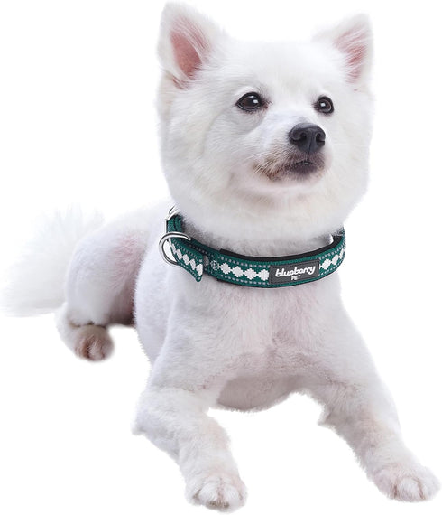 Blueberry Pet Reflective Jacquard Dog Collar, Neoprene Padding, Soft & Adjustable, Teal Blue
