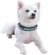 Blueberry Pet Reflective Jacquard Dog Collar, Neoprene Padding, Soft & Adjustable, Teal Blue