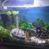 Shipwreck Aquarium Decoration + Little Diver Floating Fish Tank Ornament, Fish Tank Hideout, Fish Tank Decor