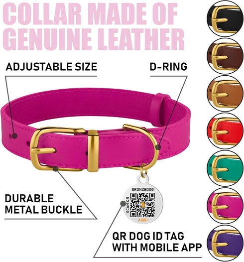 BRONZEDOG Leather Dog Collar with QR ID Tag, Basic Pet Collars for Small Mini Dogs Cats Puppies (7-9 Inch (Pack of 1),