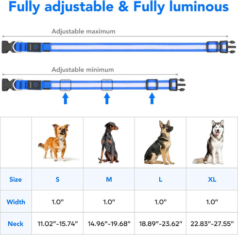 Vizpet LED Dog Collar - Adjustable USB Rechargeable Light Up Safety Glowing Collar for Dogs (Large, Blue)