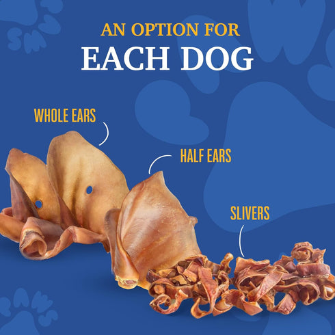 SUPER CAN BULLYSTICKS Pig Ears for Dogs (20 Count) | All Natural Healthy Dog Treats | Natural Chews Alternative to
