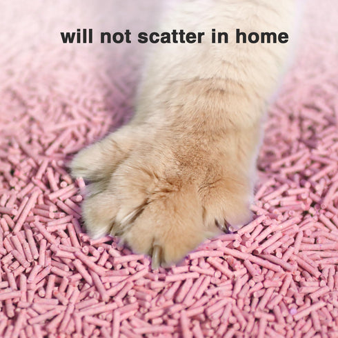 Cat Litter 24LB/4 Packs Dust-Free Clumping Tofu Cat Litter, Quickly Absorbs Odors, Flushable (Peach)