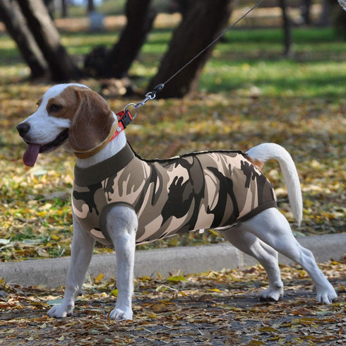 SAWMONG Recovery Suit for Dogs - Breathable Dog Onesie After Surgery, Camouflage, X-Large