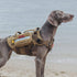 OneTigris Large Tactical Dog Harness, No Pull Adjustable Vest with Heavy Duty Handle, Brown, Large Hook and Loop Panels