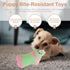2 Pcs Durable Dog Squeaky Toys, Plush Stuffed Socks, Bite-Resistant Chewing Toys for Pet Birthday