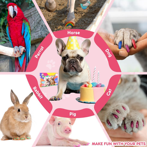 Dog Nail Polish Pens - Quick Dry, 15 Colors Pet Nail Polish Set for DIY Stylish Dog Nail Art - Non Toxic and Easy to Use