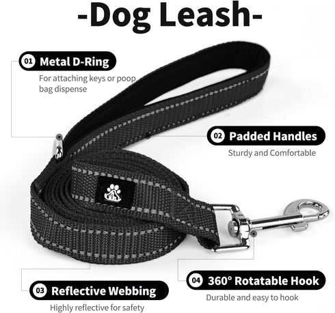 IVY&LANE Reflective Dog Collar and Leash Set - Adjustable Neoprene Padded Collars for Puppy, 5FT Nylon Leash (Medium,
