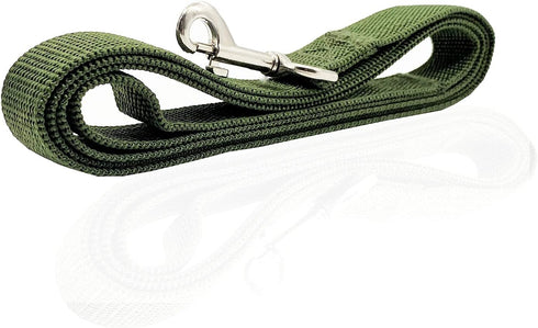 Nylon Dog Leash, 10 Feet Long, Walking Training Leash for Medium Large Dogs, 1 Inch Wide, Green