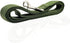 Nylon Dog Leash, 10 Feet Long, Walking Training Leash for Medium Large Dogs, 1 Inch Wide, Green