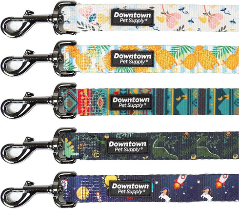 Downtown Pet Supply Heavy-Duty Dog Leash, 6ft, Durable Dog Training Leash, Padded Comfort Handle, Pineapple, 1in Wide
