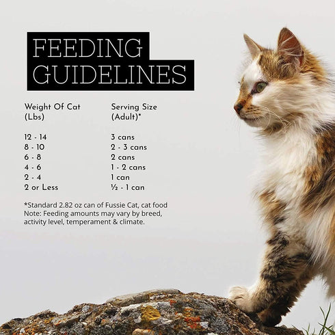 Fussie Cat Super Premium Grain Free Wet Food Variety Bundle Pack, 12 Cans (6 Flavors), 2.82 oz Each, Bonus Bowl