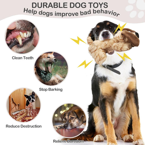 Plush Dog Toy, Squeaky & Stuffed Toy for Small & Medium Dogs