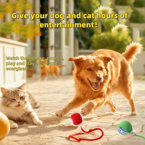 2 PCS Interactive Cat Toy Rolling Ball Chewie Viral Dog Ball, Smart Automatic Rolling Pet Balls,Automatic Moving